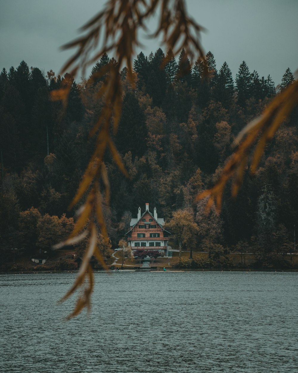 white and brown houses surrounded with green trees near body of water during daytime