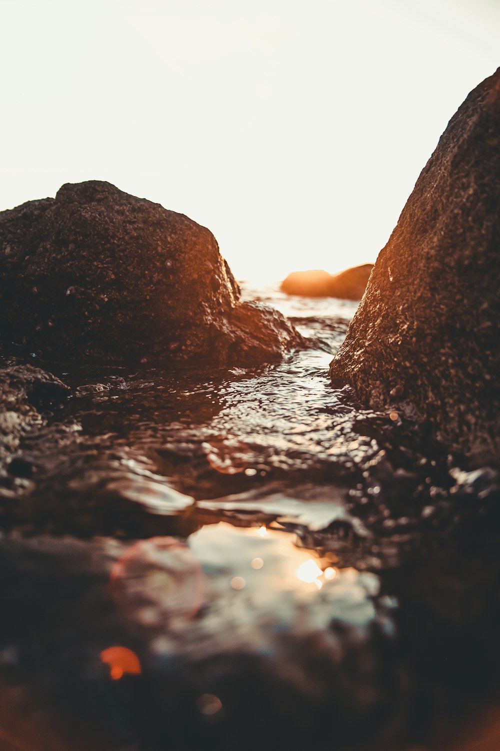 rocky seashore during golden hour