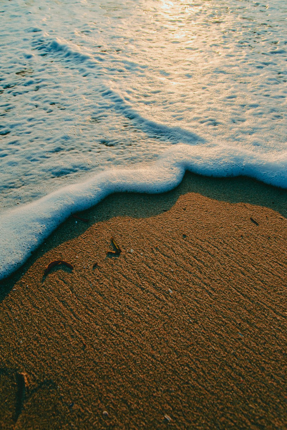 seashore during daytime