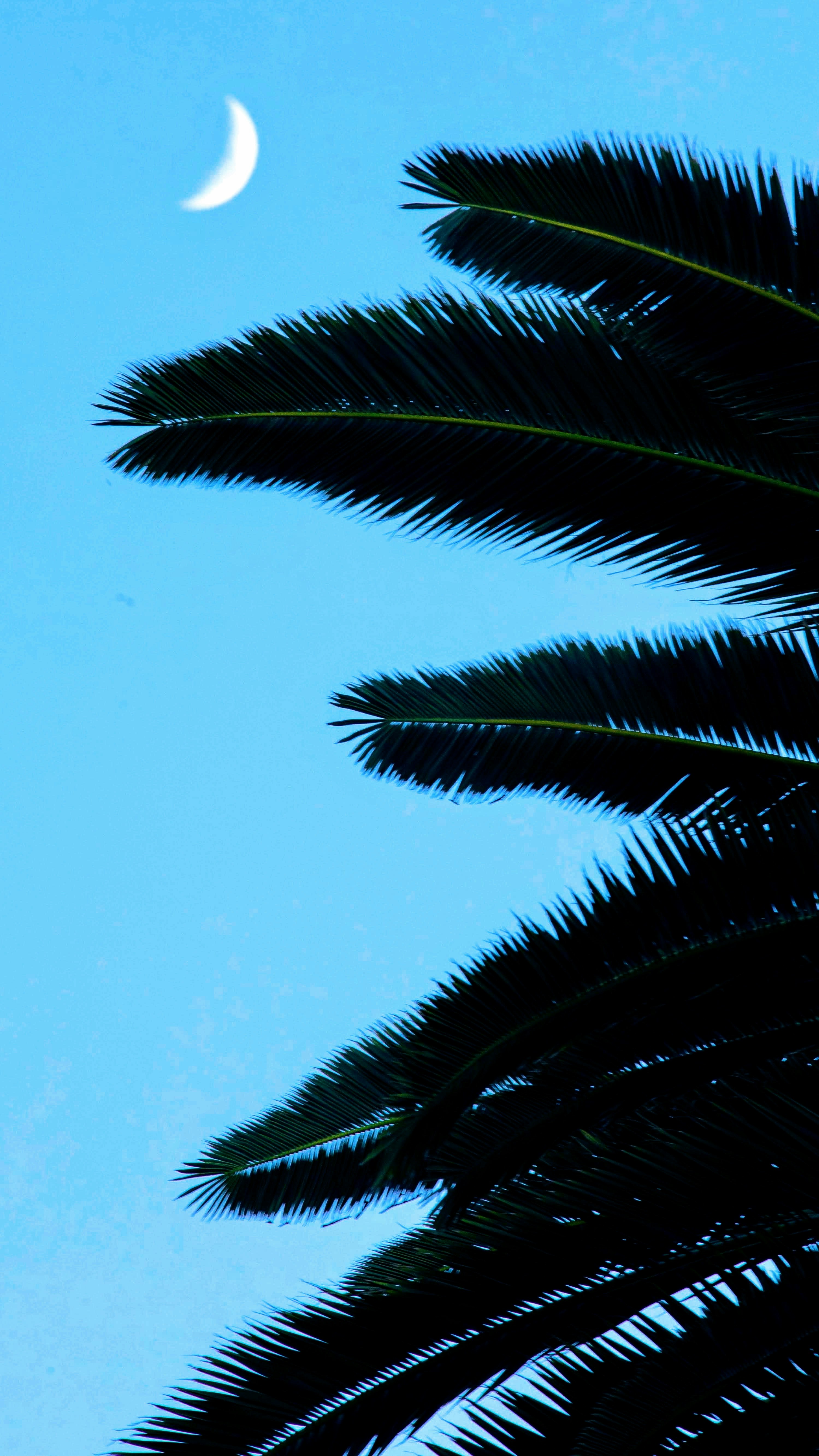 Photo by matthewnevinsbell