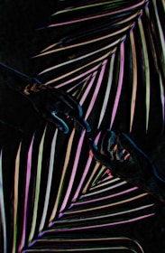 Two hands reaching towards each other are surrounded by colorful, stylized palm leaves against a dark background, creating a sense of connection and harmony. The leaves display a gradient of colors including purple, green, white, and pink, adding a vibrant and abstract quality.
