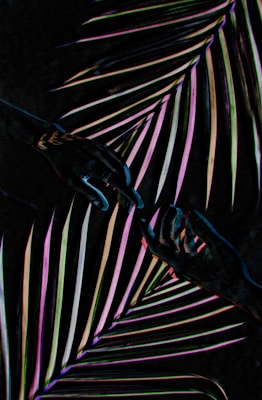 Two hands reaching towards each other are surrounded by colorful, stylized palm leaves against a dark background, creating a sense of connection and harmony. The leaves display a gradient of colors including purple, green, white, and pink, adding a vibrant and abstract quality.