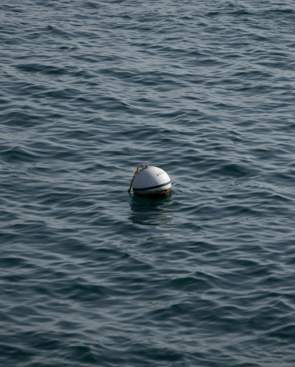 white buoy during daytime