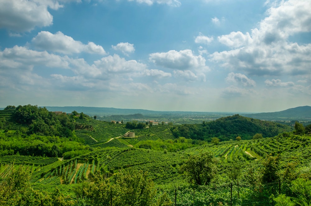 landscape photography of houses on green field viewing mountain under white and blue sky