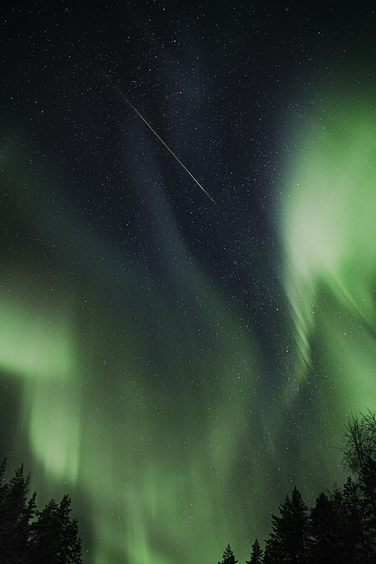 Canon EOS 5D Mark II + Canon EF 24-70mm F2.8L II USM sample photo. Aurora borealis during night photography