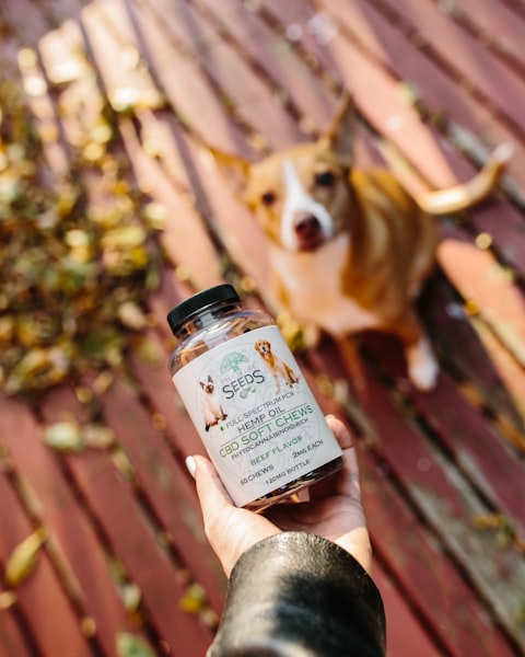 Calm + Balance Supplement