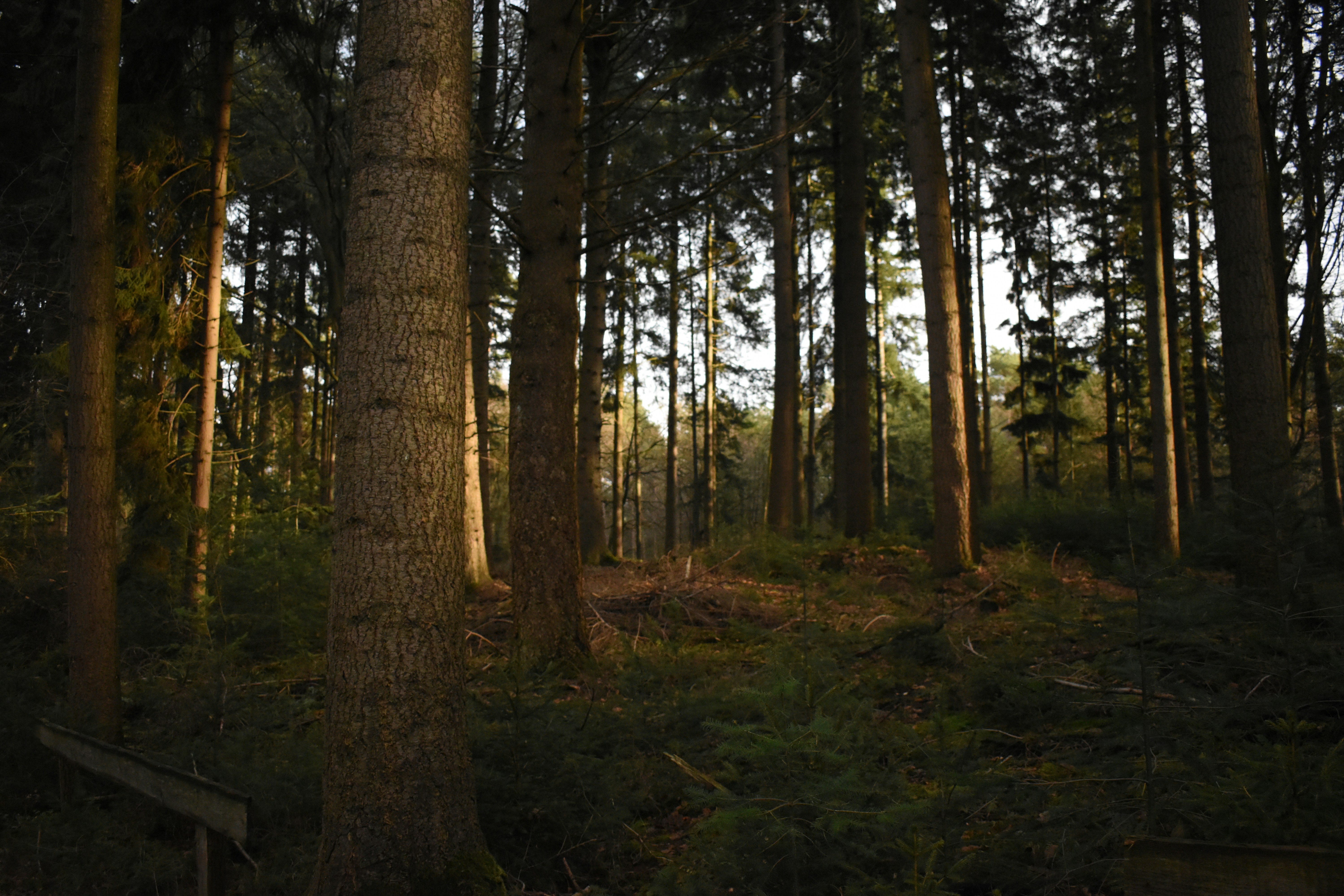 Photo by welcometojo_