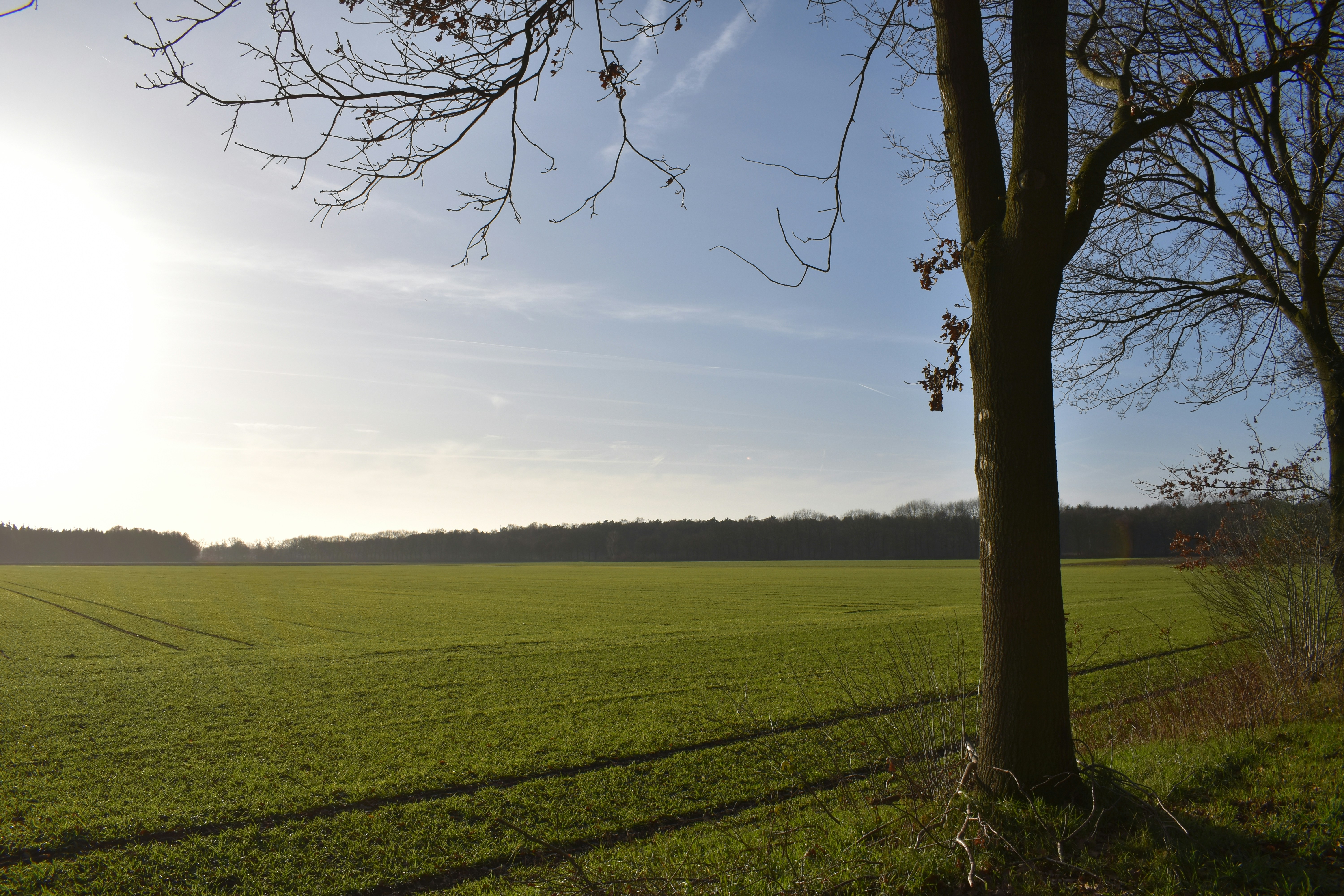 Photo by welcometojo_