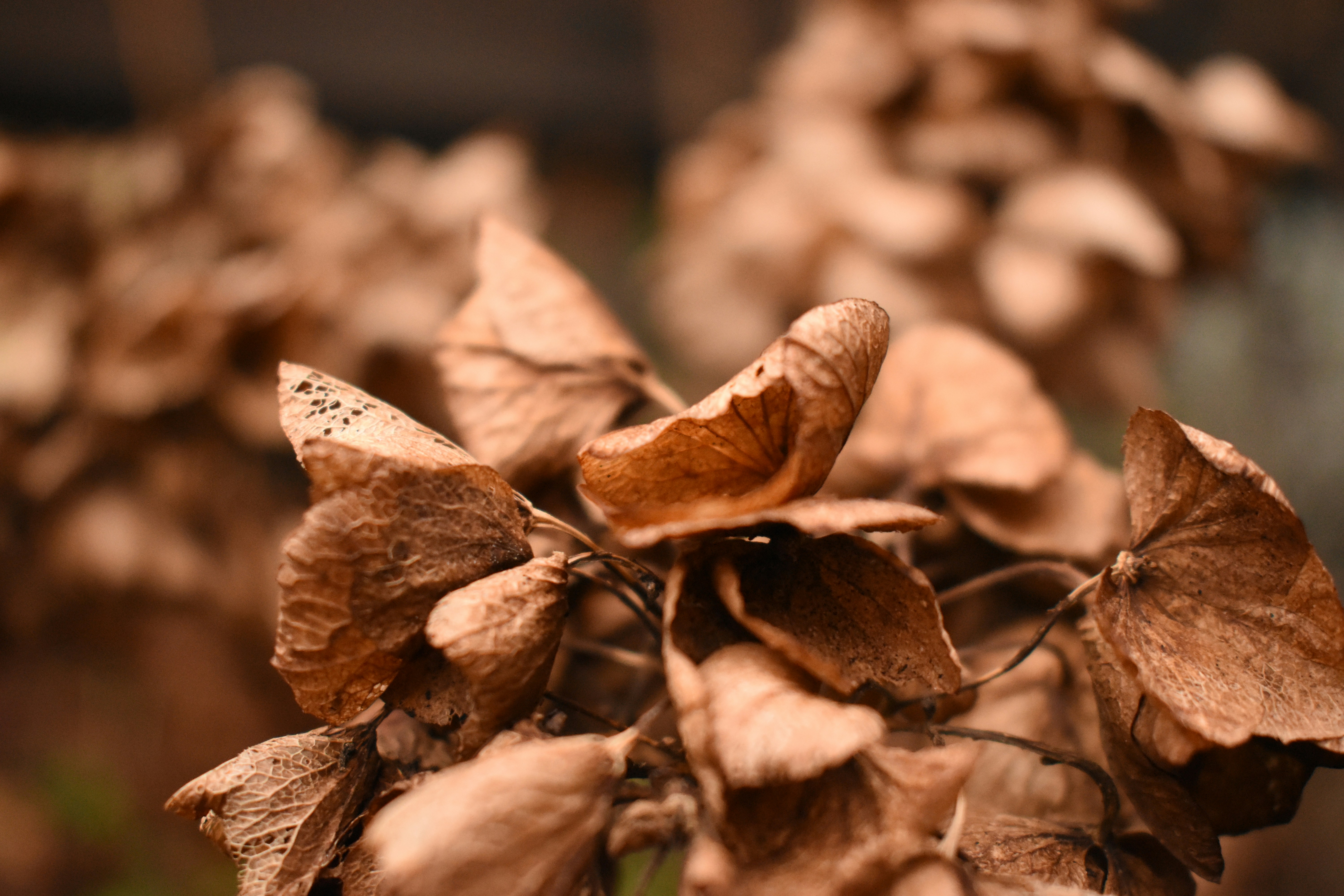 Photo by welcometojo_