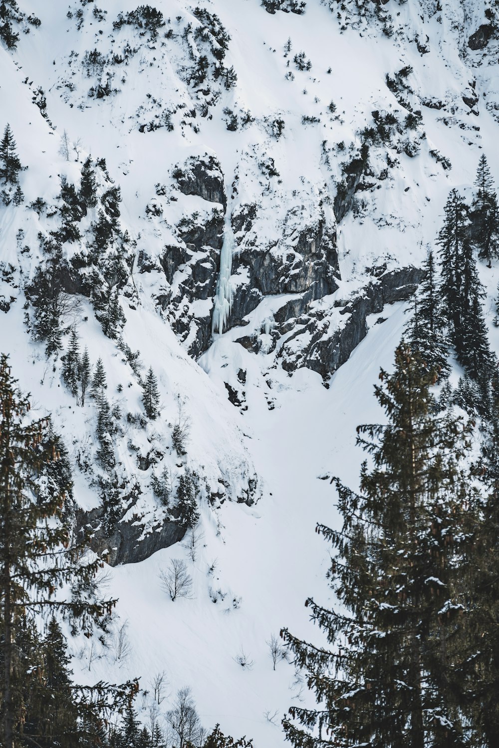 snowy mountain photograph