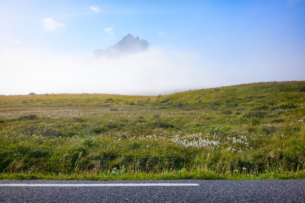 Fotografía de paisaje de campo verde cerca de la carretera bajo cielo blanco y azul