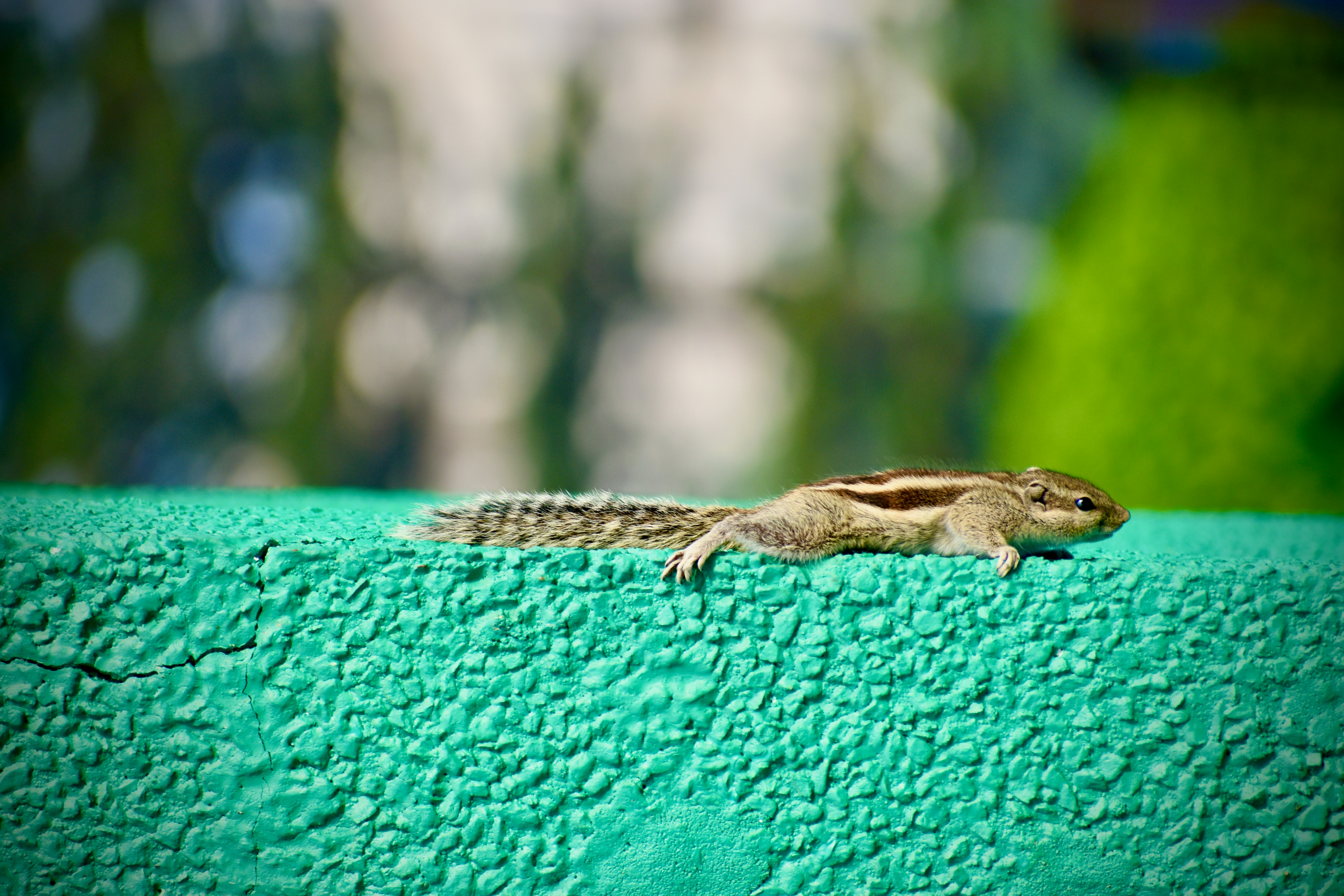 Cash Sales System in CV Cipta - Photo 1579206193097 073edb956265