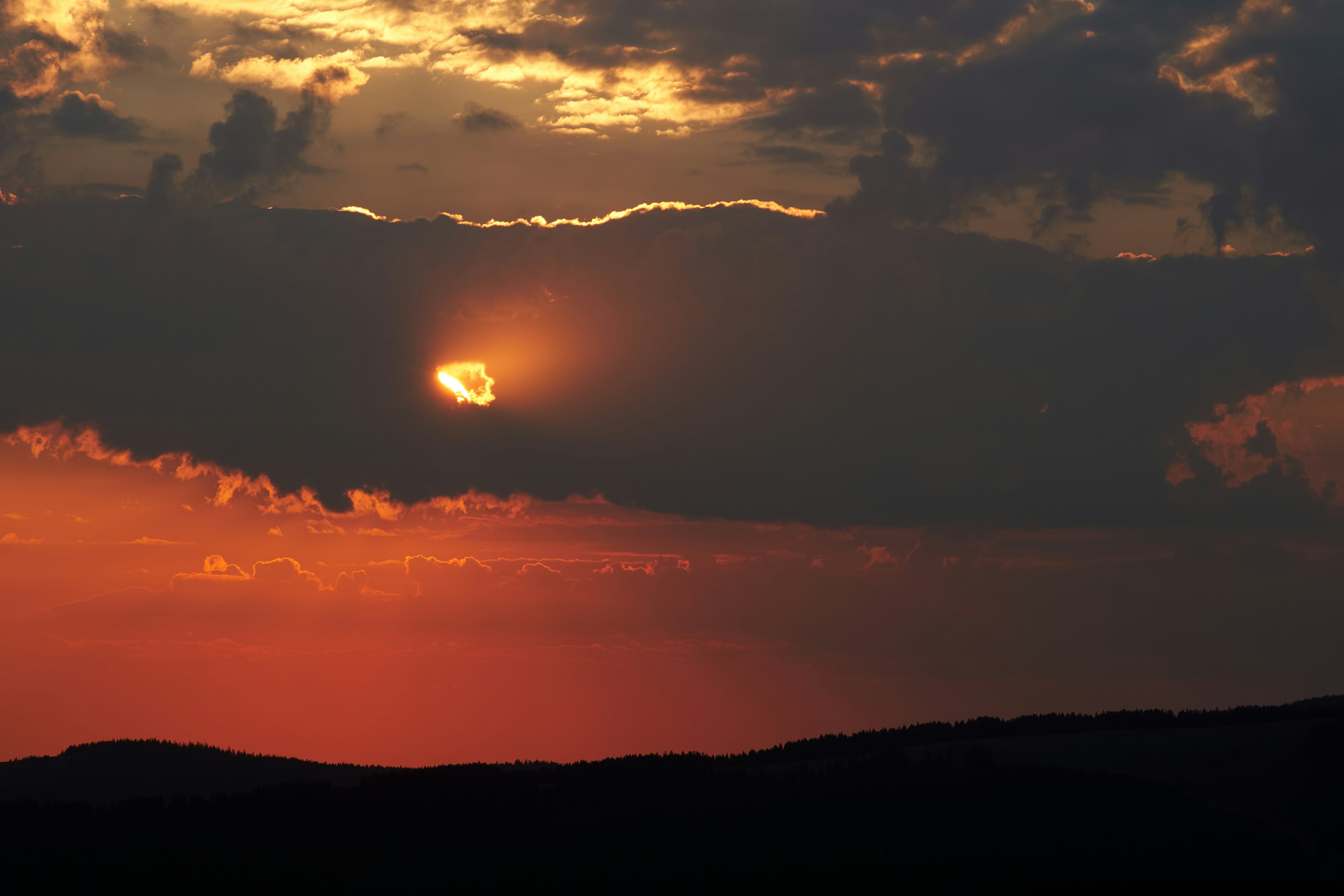 Photo by wolfgang_hasselmann