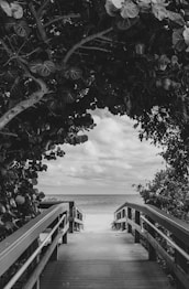 grayscale photography of wooden dock near trees viewing sea