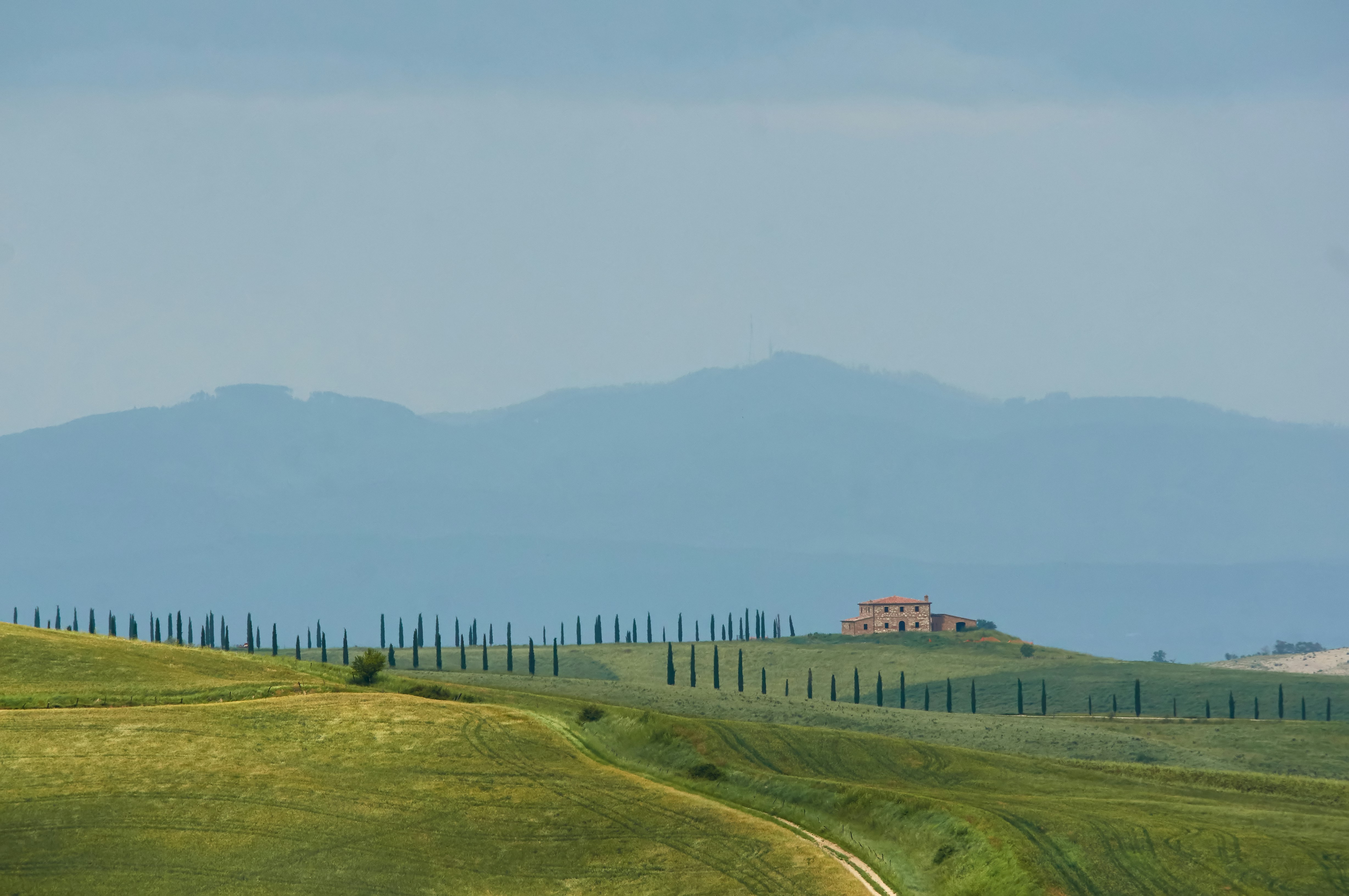 Photo by wolfgang_hasselmann