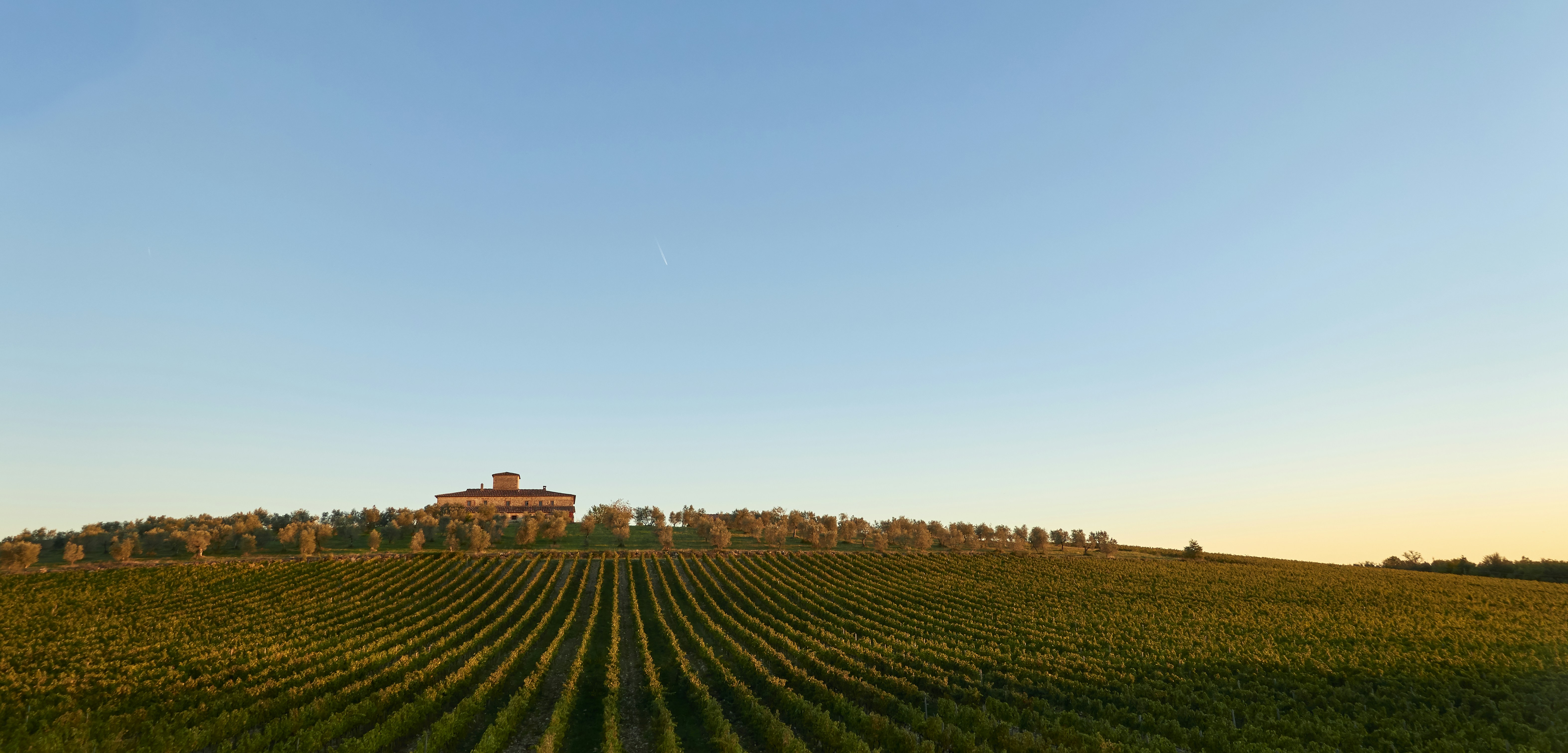 Photo by wolfgang_hasselmann