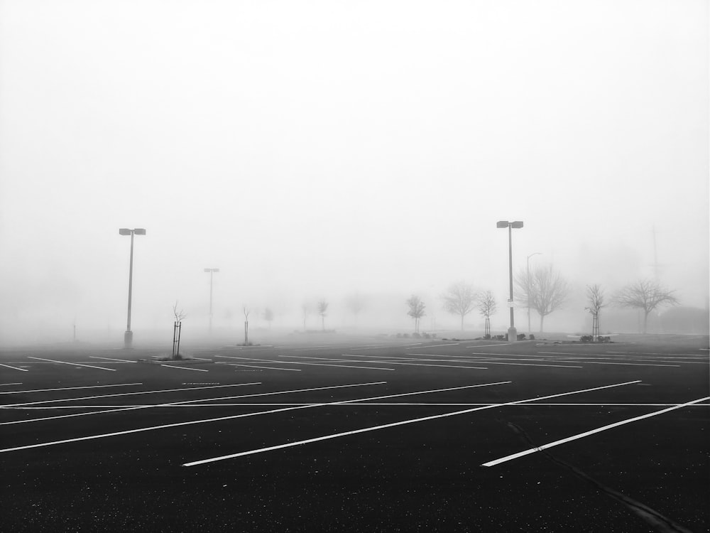 grayscale photography of road near trees