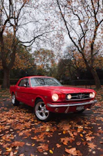 selective focus photography of parked red Ford Mustang coupe