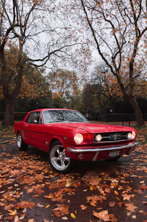 selective focus photography of parked red Ford Mustang coupe