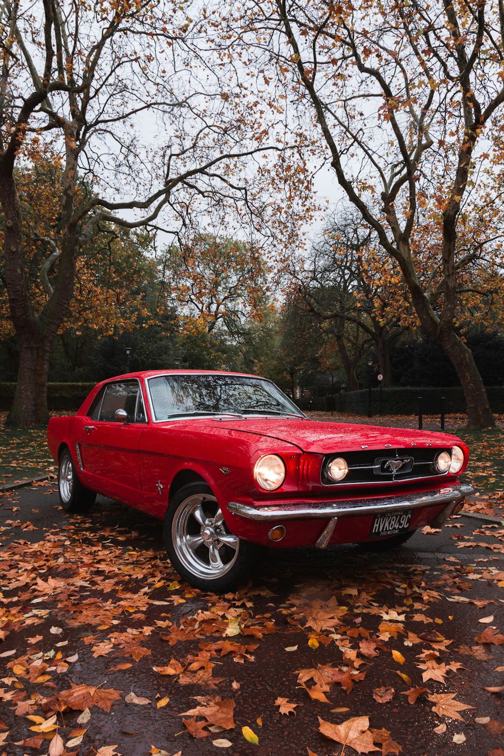 selective focus photography of parked red Ford Mustang coupe