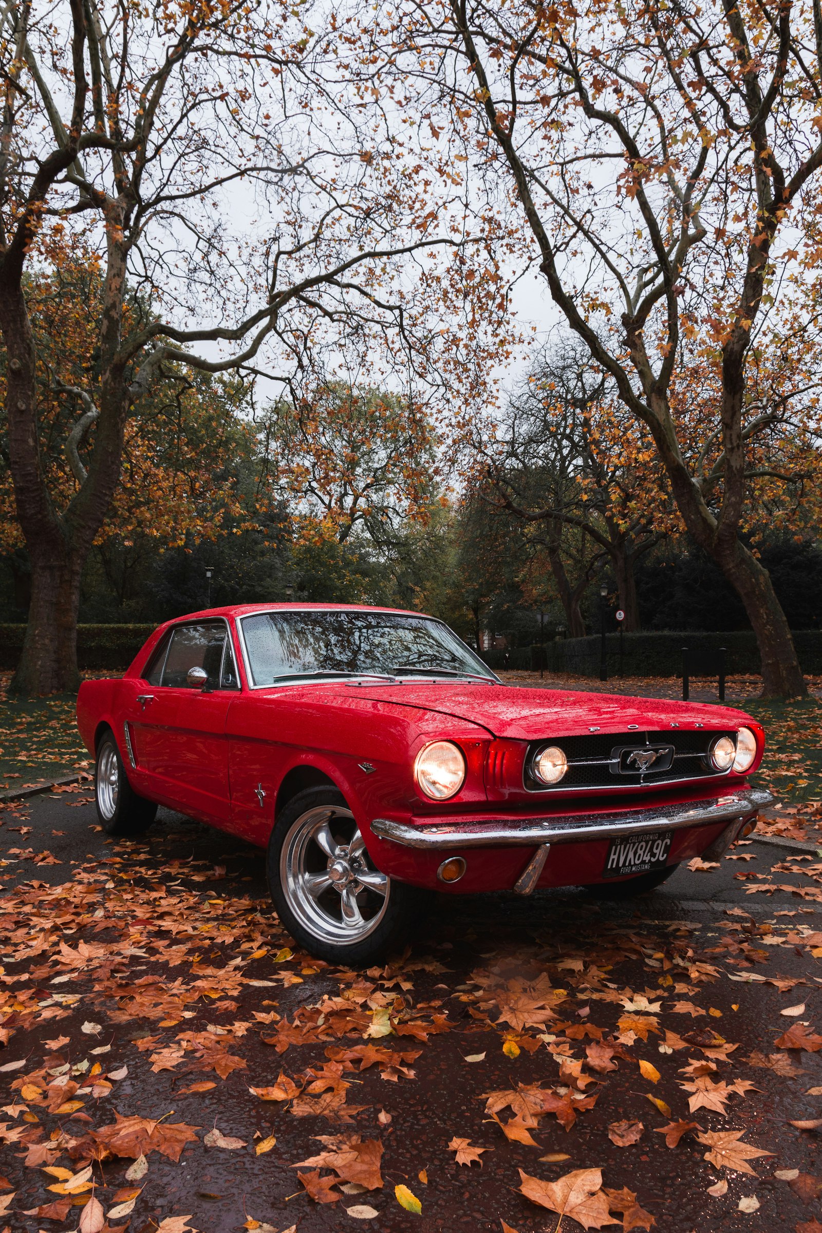 Classic and Performance Work