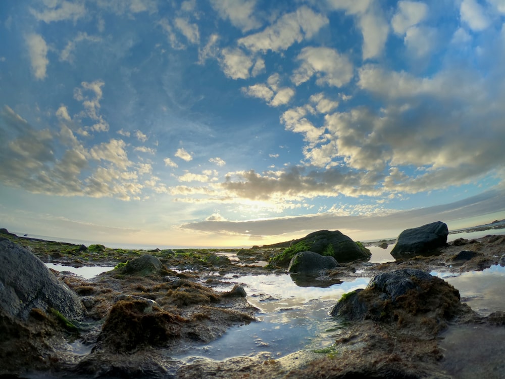 body of water photograph