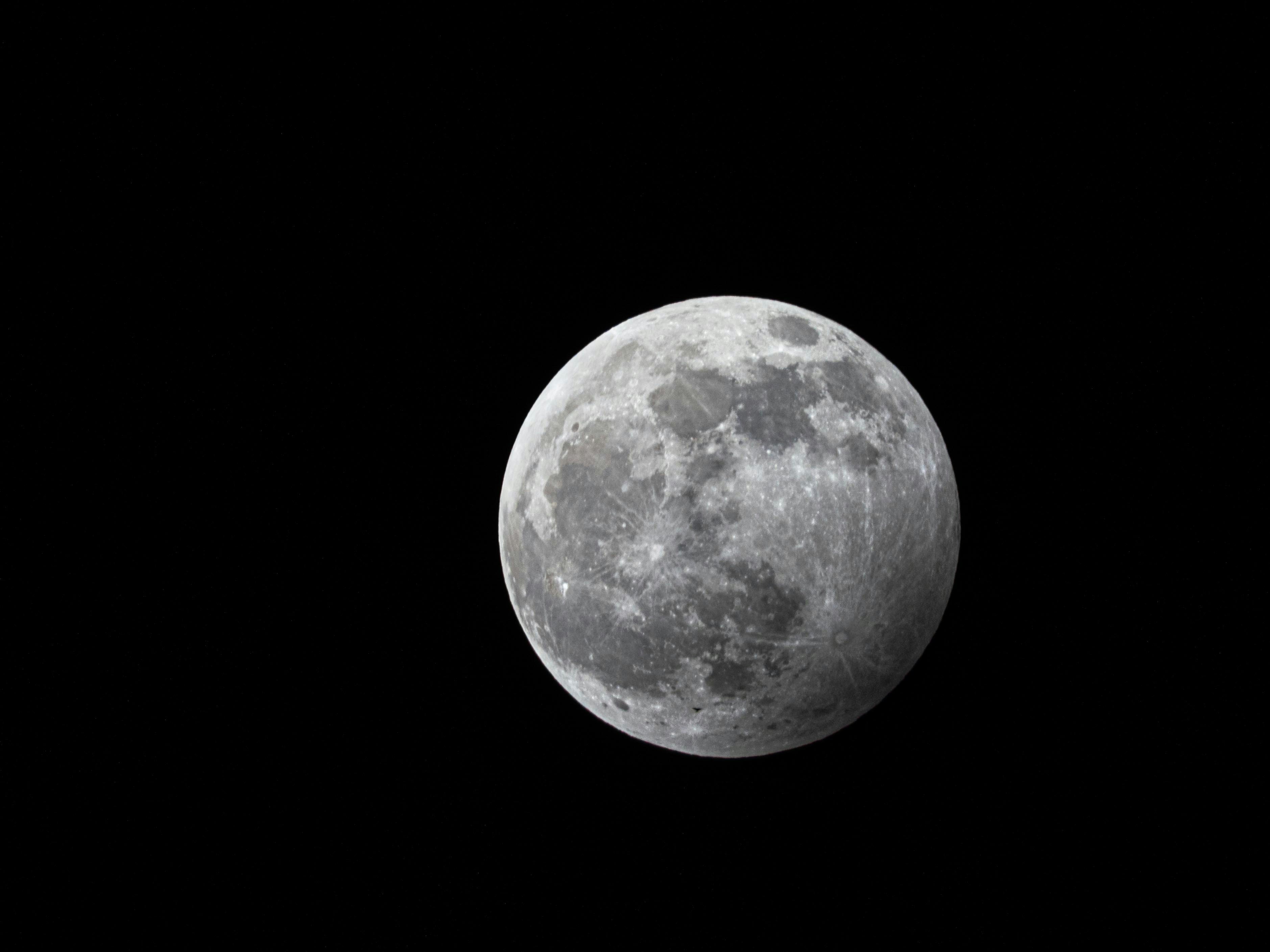 Full Moon Wallpaper Werewolf