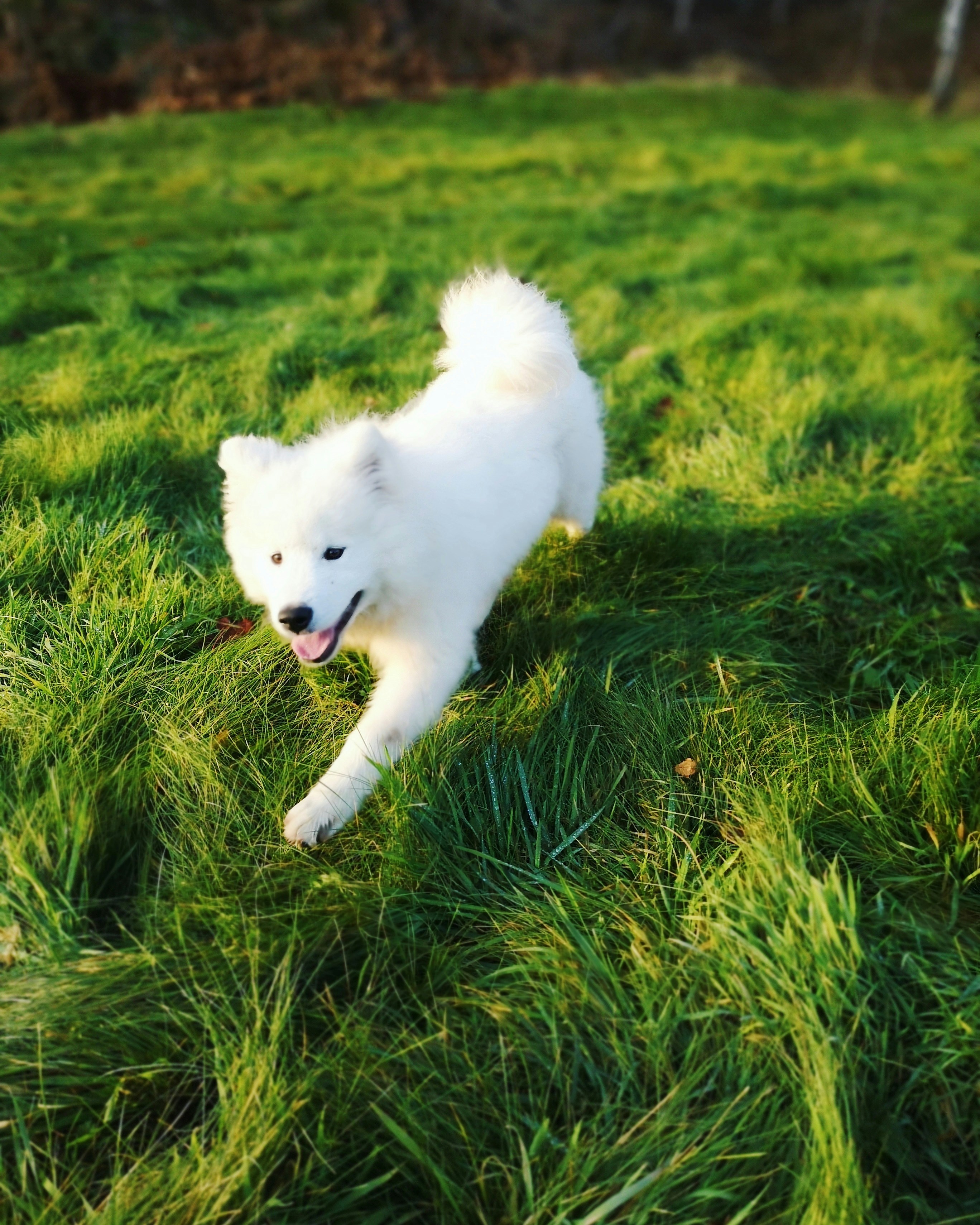 Photo by mariadilorenzo