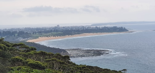 A coastal landscape features an expansive ocean meeting a long stretch of sandy beach. The shoreline curves gently, bordered by lush green vegetation and forested areas. In the distance, there is a town with clusters of buildings and houses. The sky appears overcast, creating a calm and serene atmosphere.