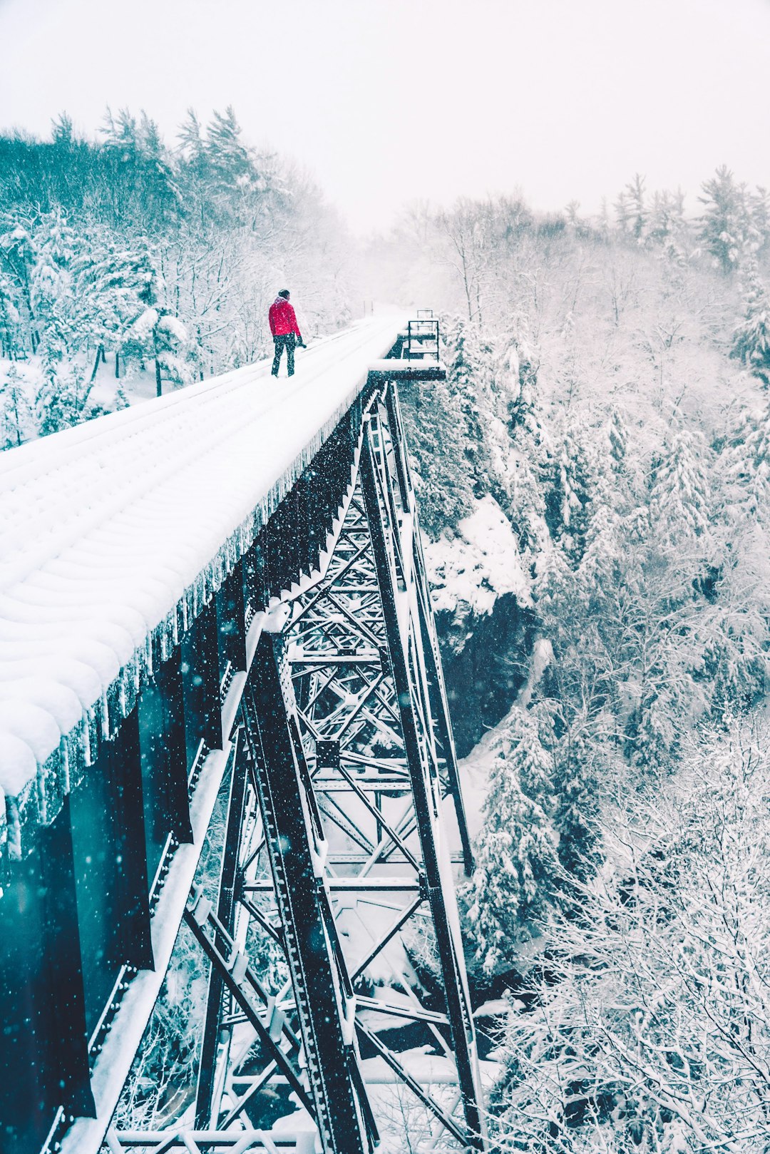 man wearing red jacket walking on the snowy bridge