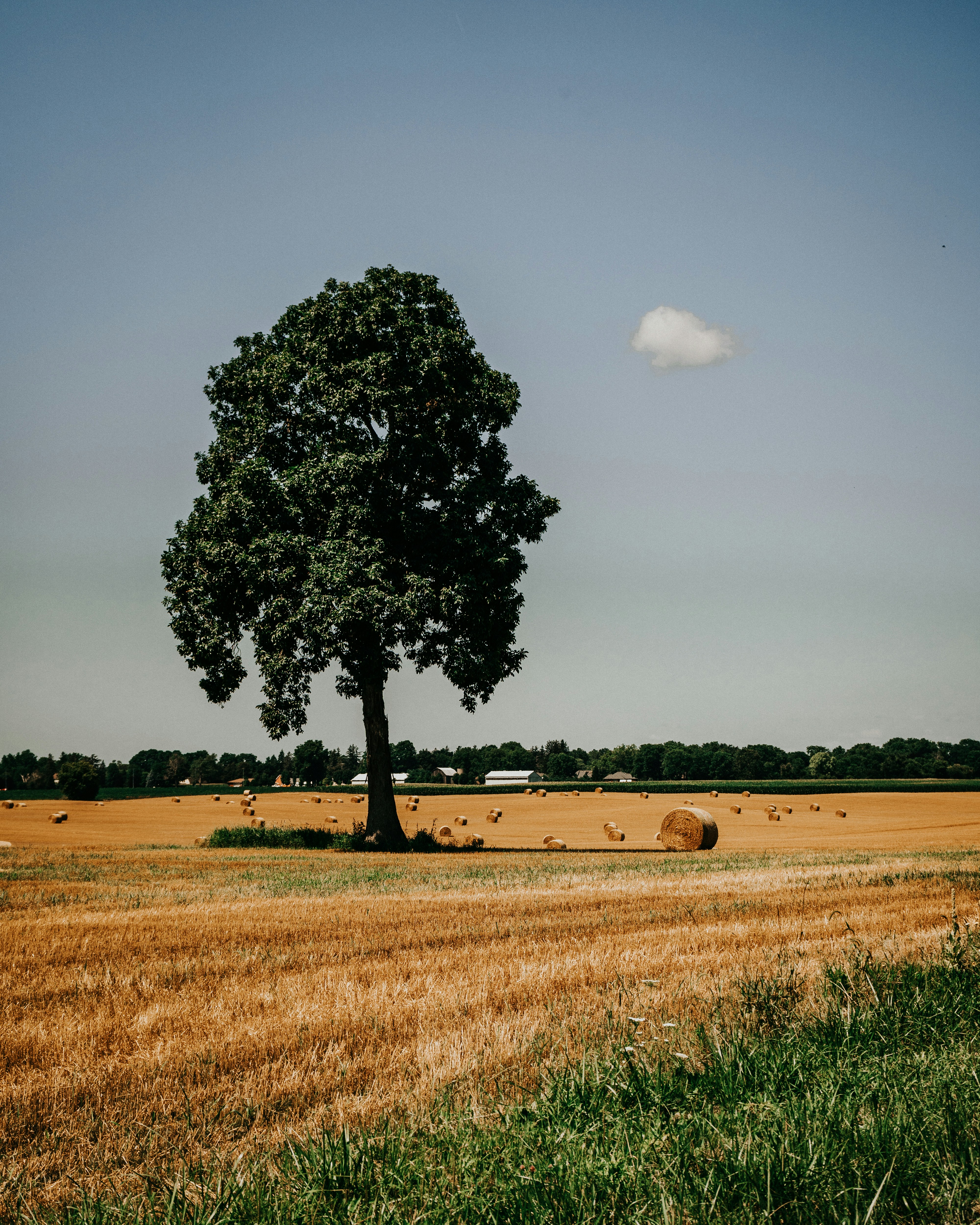 Photo by charliegallant