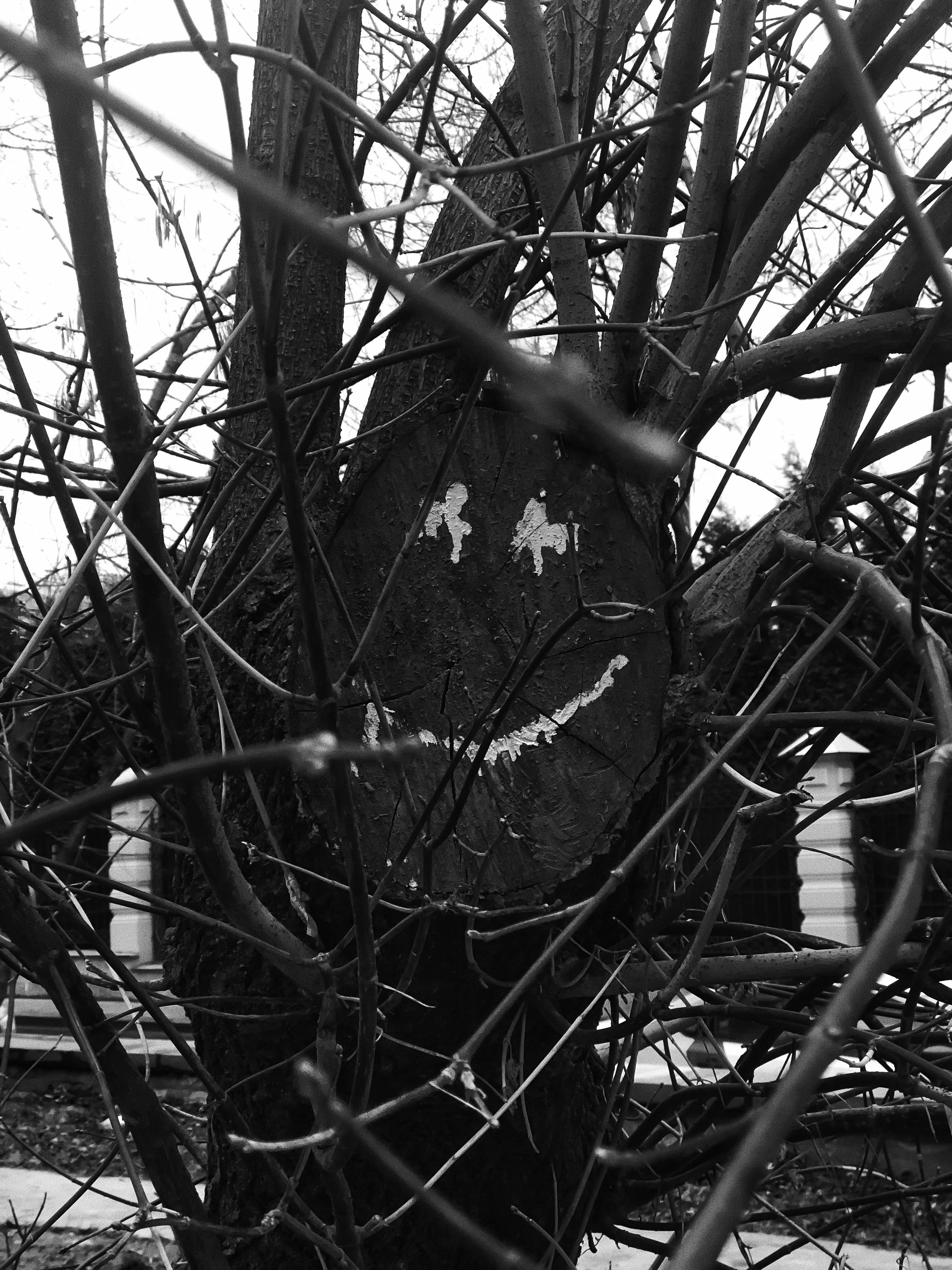 Photo by shklyaevmax