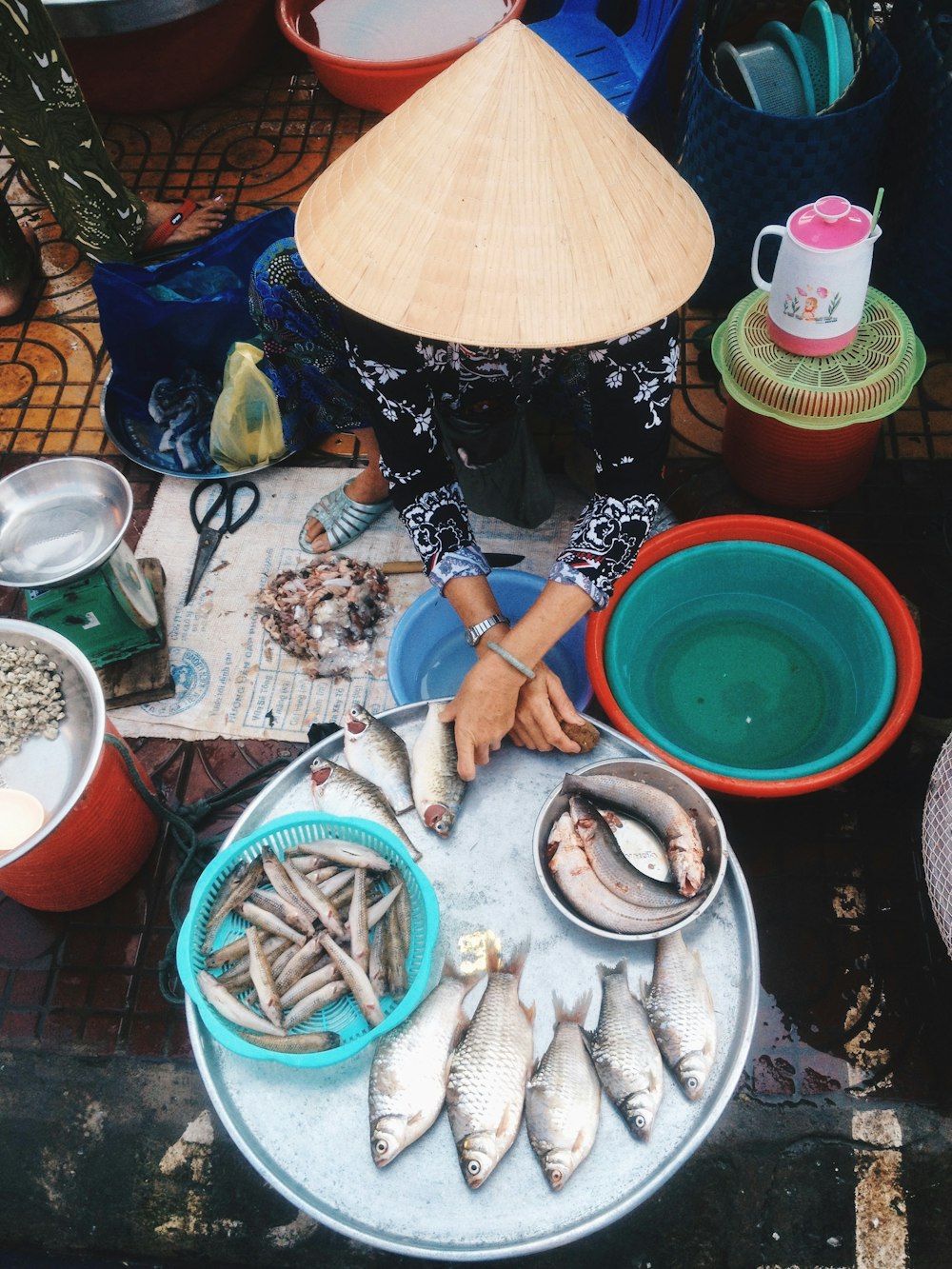 woman sitting in front of the fish on display