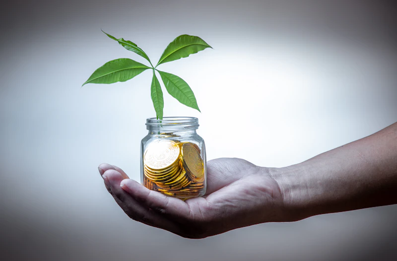 How to manage public investment in science with balance