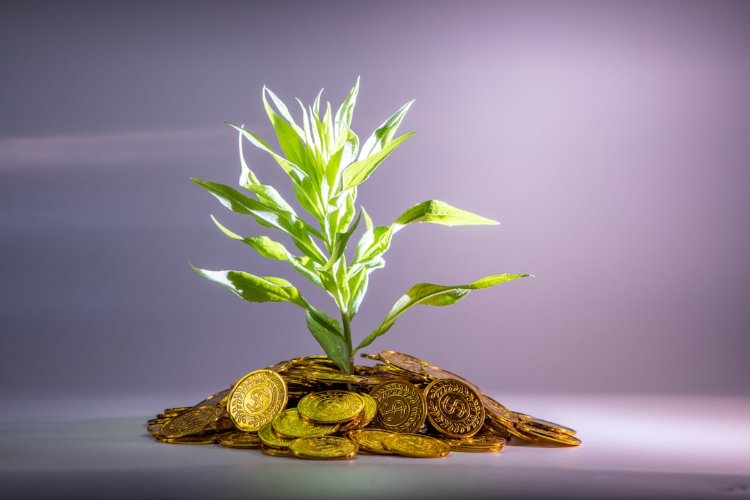 green-leafed plant,