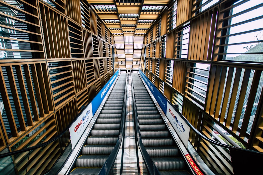 empty escalator