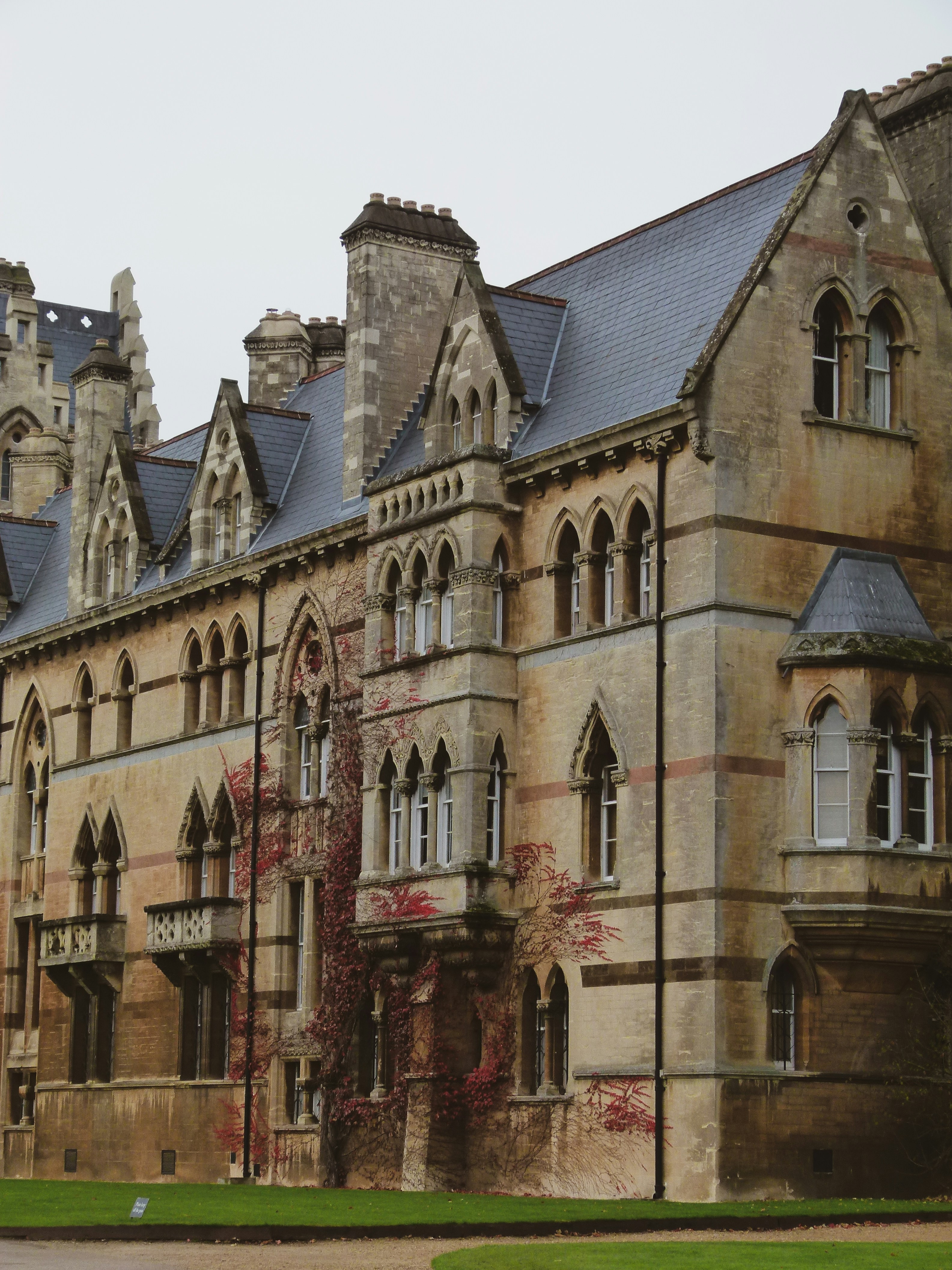 Photo by luizagiannelli