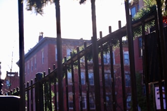 A metal fence with green garlands is in the foreground, partially obscuring the view of a red brick building in the background under a bright sky. The scene includes some winter greenery and shadows cast by the sun, which appears to be low in the sky.