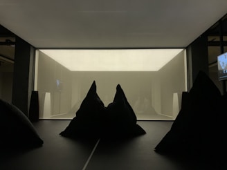 A dimly lit room with a large, opaque screen on one wall. Black beanbag chairs or cushions are scattered in the foreground. The overall space appears minimalistic and modern, with dark tones dominating the interior. On the side, a small screen is mounted on the wall, displaying indistinct images.