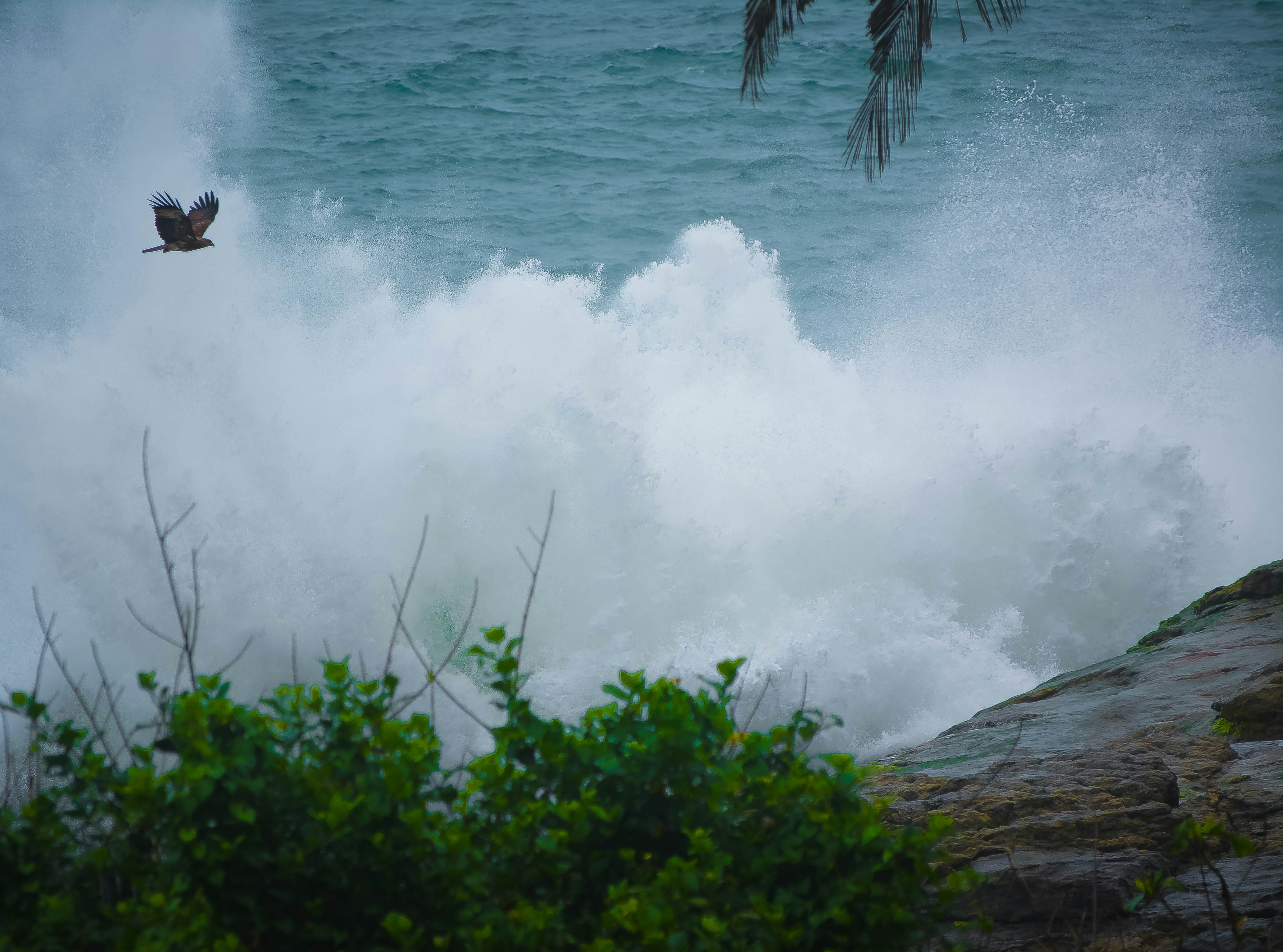 waves crushed on boulders
