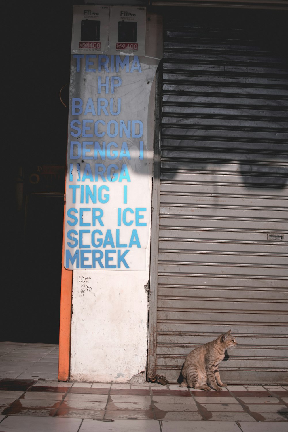 Chat gris devant une porte fermée à enroulement pendant la journée