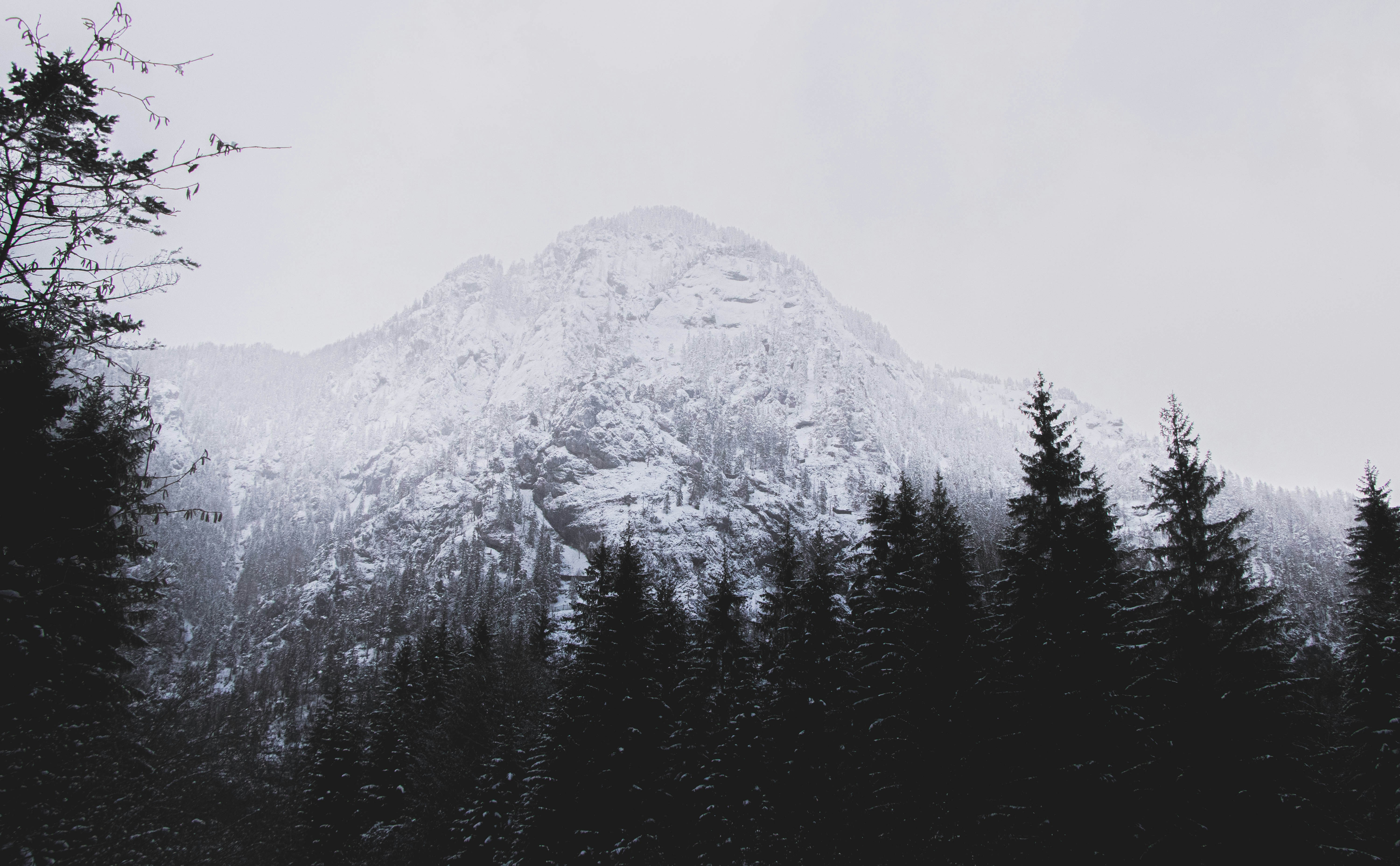 Photo by ben_brunner