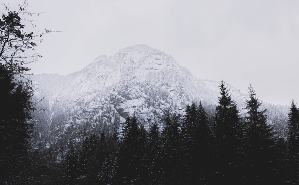 snow capped mountain