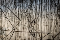 A serene encaustic artwork inspired by the Oregon river, showing soft blues and greens with embedded twigs.