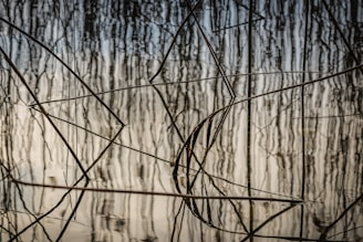 A serene encaustic artwork inspired by the Oregon river, showing soft blues and greens with embedded twigs.