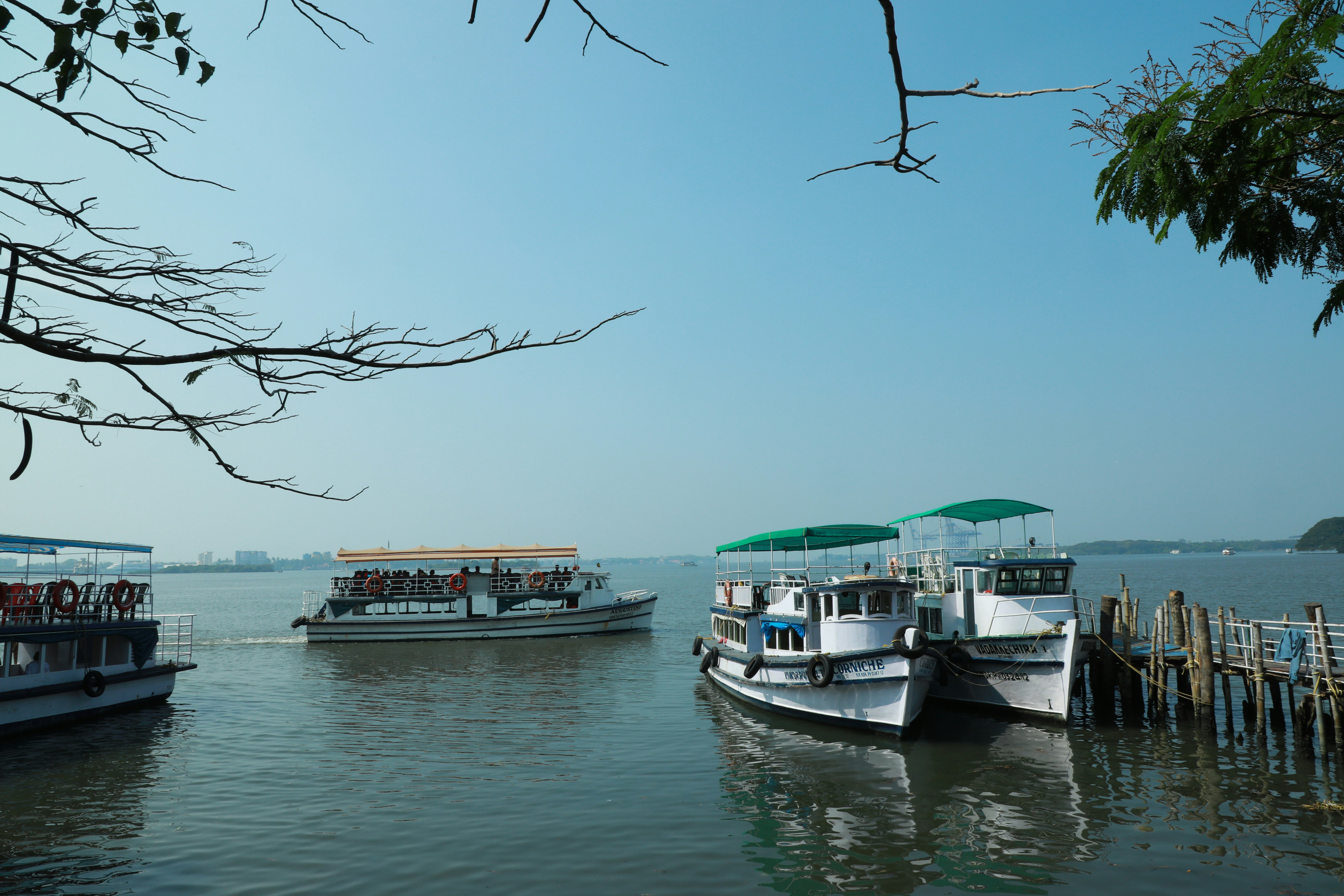 Photo by wilsanphotography