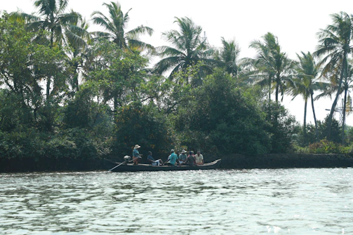 Guests enjoying a peaceful river safari, spotting wildlife along the lush riverbanks.