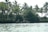 A group of people are seated in a small boat on a calm river, surrounded by lush, green tropical vegetation. Tall palm trees and dense bushes line the riverbank, and the sunlight filters through the leaves, creating a serene setting.