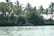 A group of people are seated in a small boat on a calm river, surrounded by lush, green tropical vegetation. Tall palm trees and dense bushes line the riverbank, and the sunlight filters through the leaves, creating a serene setting.