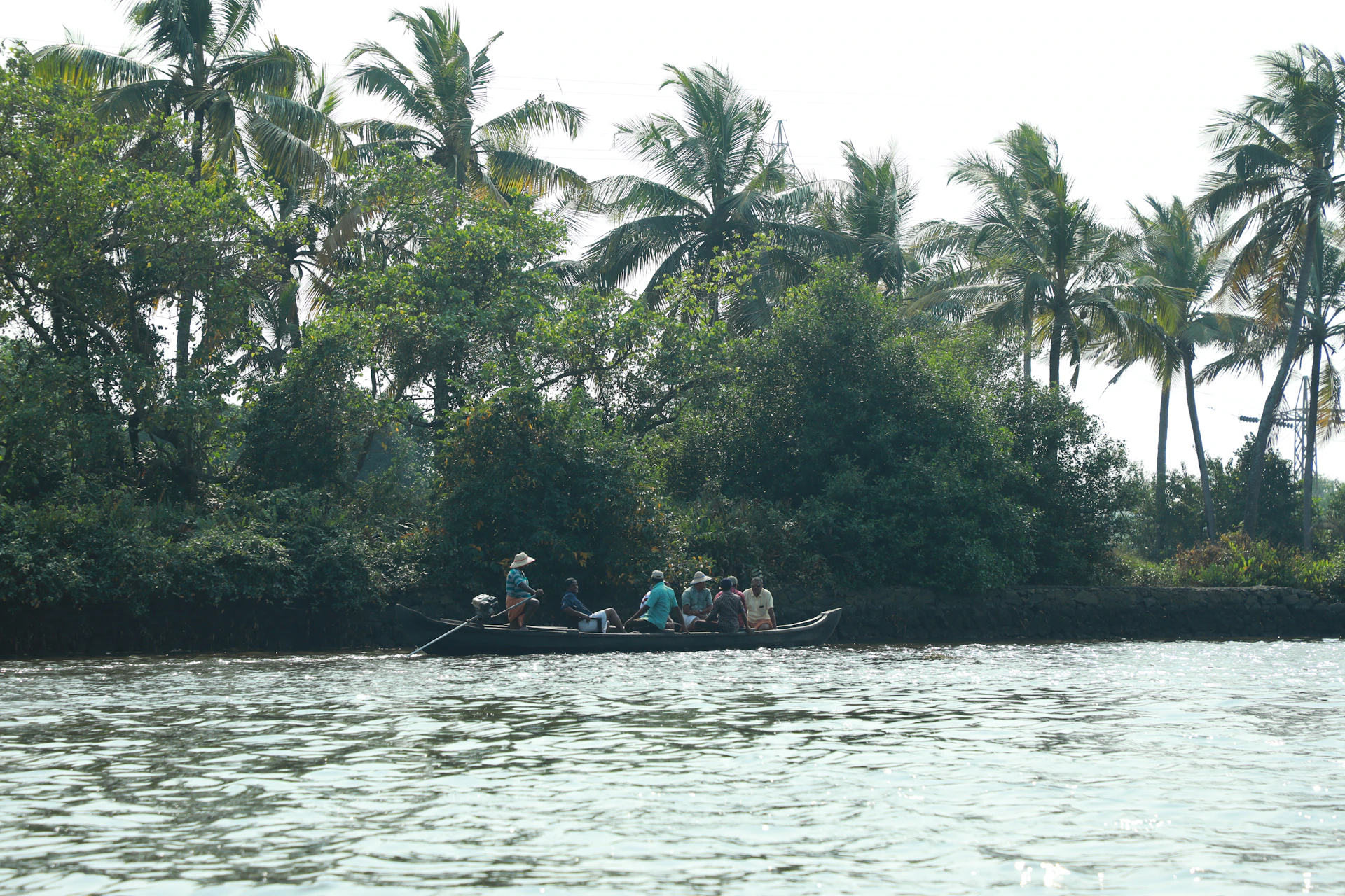 Guests enjoying a peaceful river safari, spotting vibrant wildlife like orangutans and hornbills amidst the dense greenery.